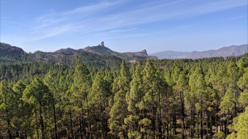 Evaluación Ambiental 2023